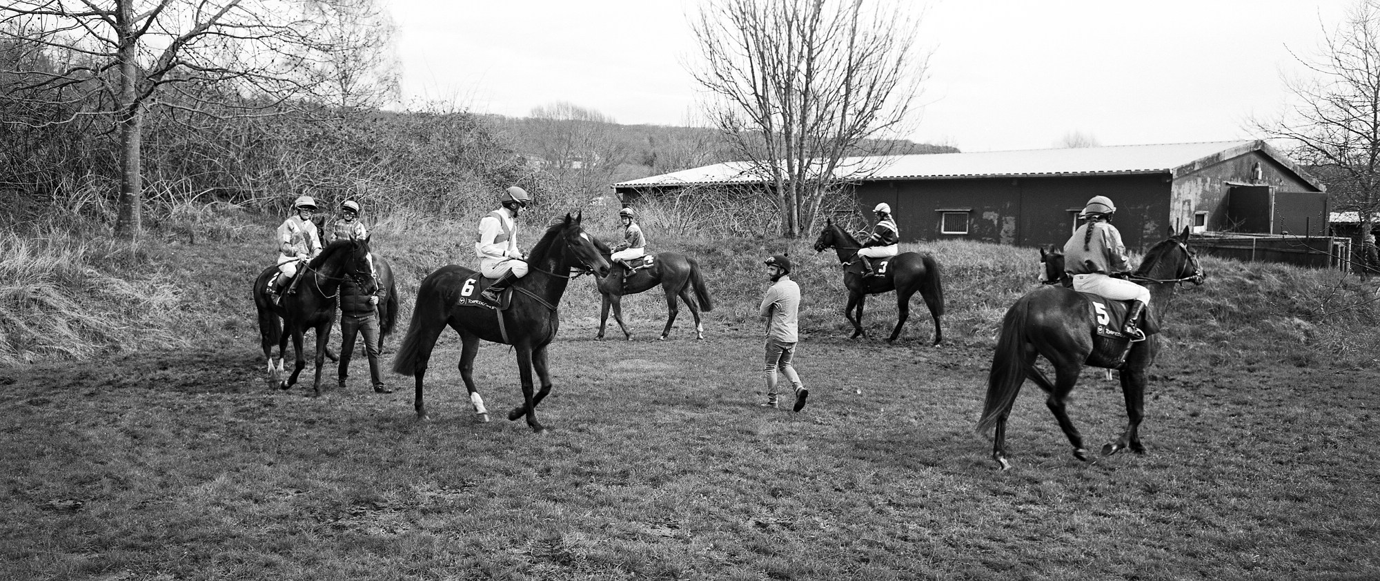 2018 04 02 Holga Pan 6x12 02 (22) vkl